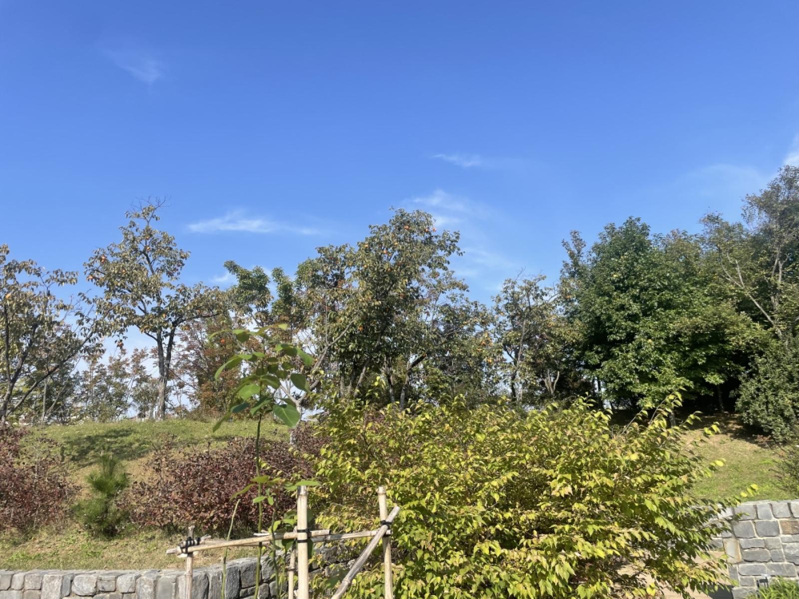 external_image 그림입니다. 원본 그림의 이름: IMG_2217.jpg 원본 그림의 크기: 가로 4032pixel, 세로 3024pixel 사진 찍은 날짜: 2025년 10월 25일 오후 10:54 카메라 제조 업체 : Apple 카메라 모델 : iPhone 12 mini 프로그램 이름 : 18.6.2 F-스톱 : 1.6 노출 시간 : 1/2618초 ISO 감도 : 32 노출 모드 : 자동 35mm 초점 거리 : 26 프로그램 노출 : 자동 제어 모드