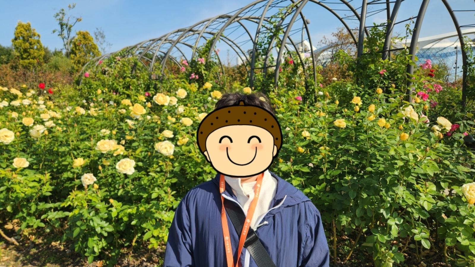 그림입니다.  원본 그림의 이름: [꾸미기]IMG_2263.JPG  원본 그림의 크기: 가로 4000pixel, 세로 2252pixel  사진 찍은 날짜: 2025년 10월 25일 오후 10:46  카메라 제조 업체 : samsung  카메라 모델 : SM-S901N  프로그램 이름 : S901NKSU3CWGI  F-스톱 : 1.8  노출 시간 : 1/1395초  ISO 감도 : 20  색 대표 : sRGB  노출 모드 : 자동  35mm 초점 거리 : 23 