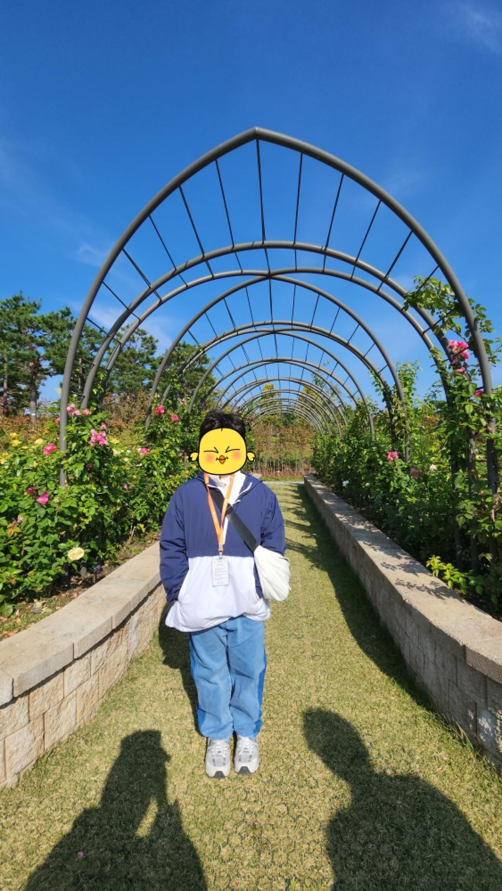 그림입니다.  원본 그림의 이름: [꾸미기]IMG_2262.JPG  원본 그림의 크기: 가로 2252pixel, 세로 4000pixel  사진 찍은 날짜: 2025년 10월 25일 오후 10:46  카메라 제조 업체 : samsung  카메라 모델 : SM-S901N  프로그램 이름 : S901NKSU3CWGI  F-스톱 : 2.2  노출 시간 : 1/2186초  ISO 감도 : 50  색 대표 : sRGB  노출 모드 : 자동  35mm 초점 거리 : 13 