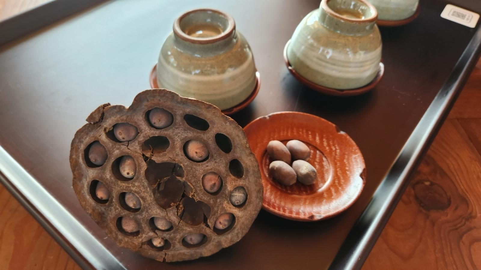 external_image 그림입니다. 원본 그림의 이름: IMG_2272.JPG 원본 그림의 크기: 가로 4000pixel, 세로 2252pixel 사진 찍은 날짜: 2025년 10월 25일 오후 11:16 카메라 제조 업체 : samsung 카메라 모델 : SM-S901N 프로그램 이름 : S901NKSU3CWGI F-스톱 : 1.8 노출 시간 : 1/180초 ISO 감도 : 100 색 대표 : sRGB 노출 모드 : 자동 35mm 초점 거리 : 23 프로그램