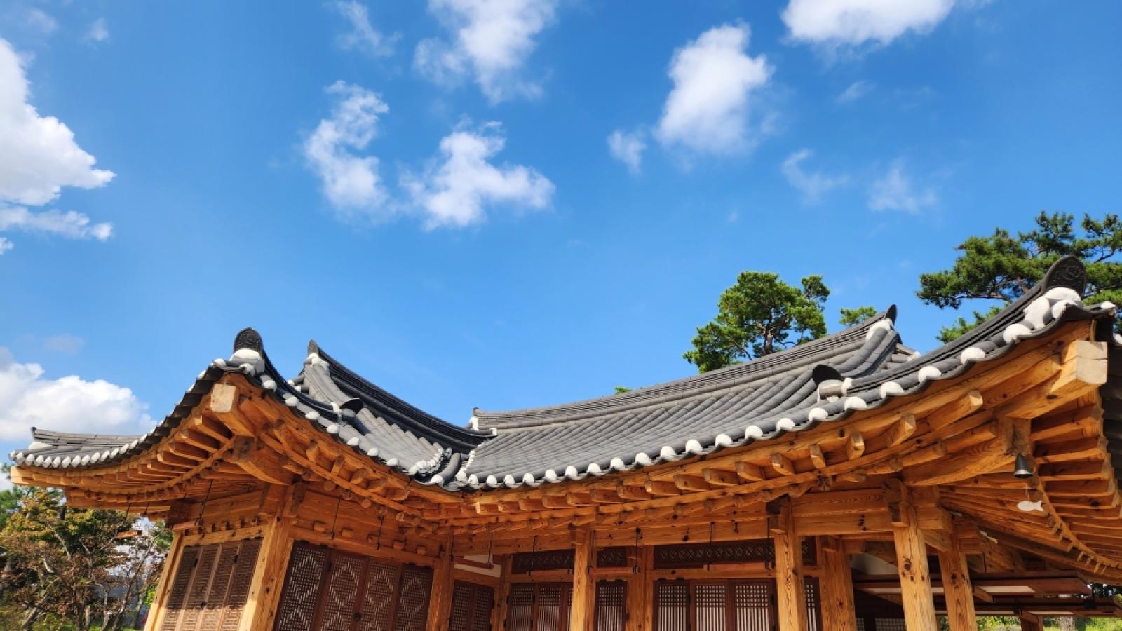 external_image 그림입니다. 원본 그림의 이름: IMG_2283.JPG 원본 그림의 크기: 가로 4000pixel, 세로 2252pixel 사진 찍은 날짜: 2025년 10월 25일 오후 12:03 카메라 제조 업체 : samsung 카메라 모델 : SM-S901N 프로그램 이름 : S901NKSU3CWGI F-스톱 : 1.8 노출 시간 : 1/1111초 ISO 감도 : 20 색 대표 : sRGB 노출 모드 : 자동 35mm 초점 거리 : 23 프로그램