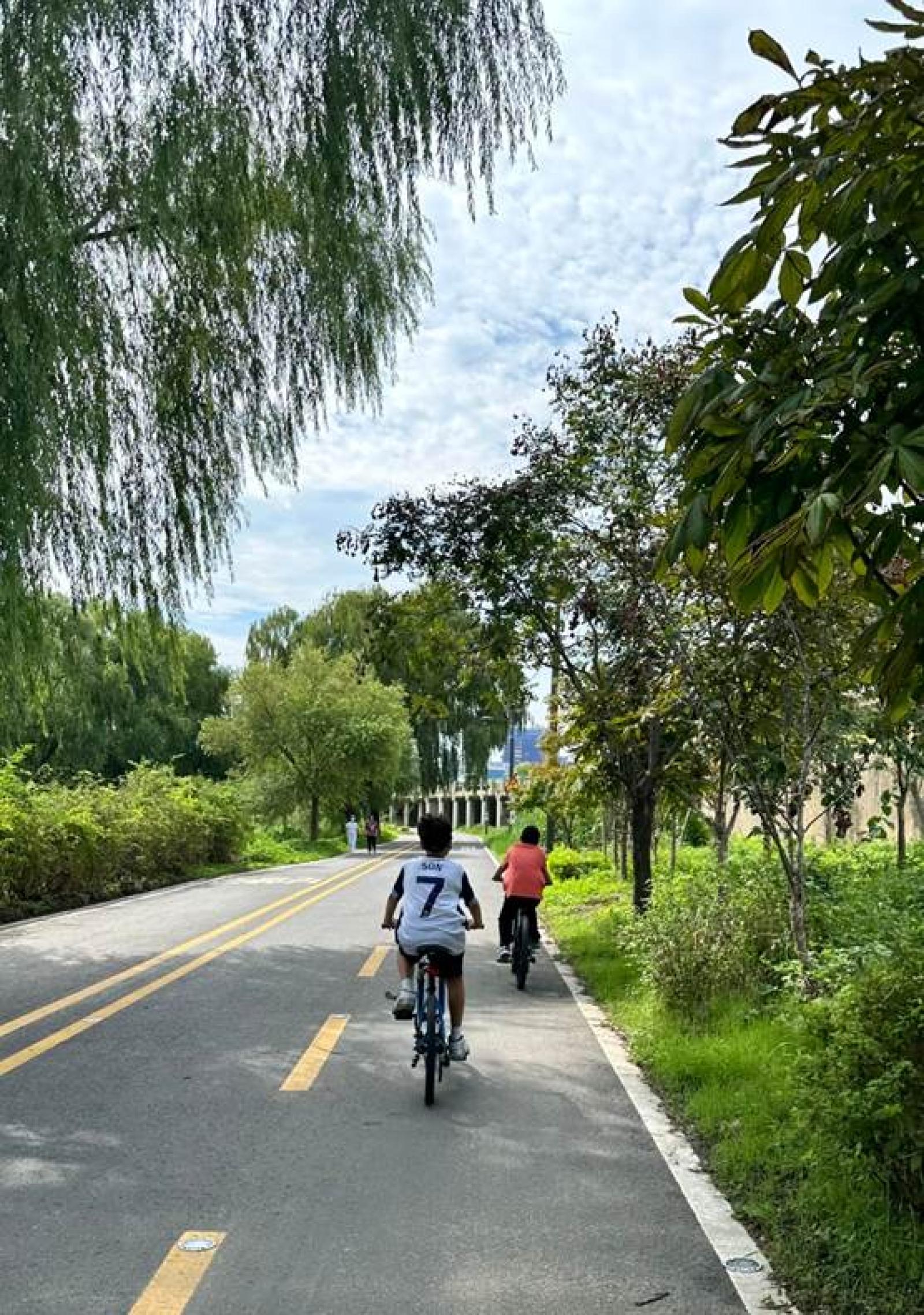 external_image external_image