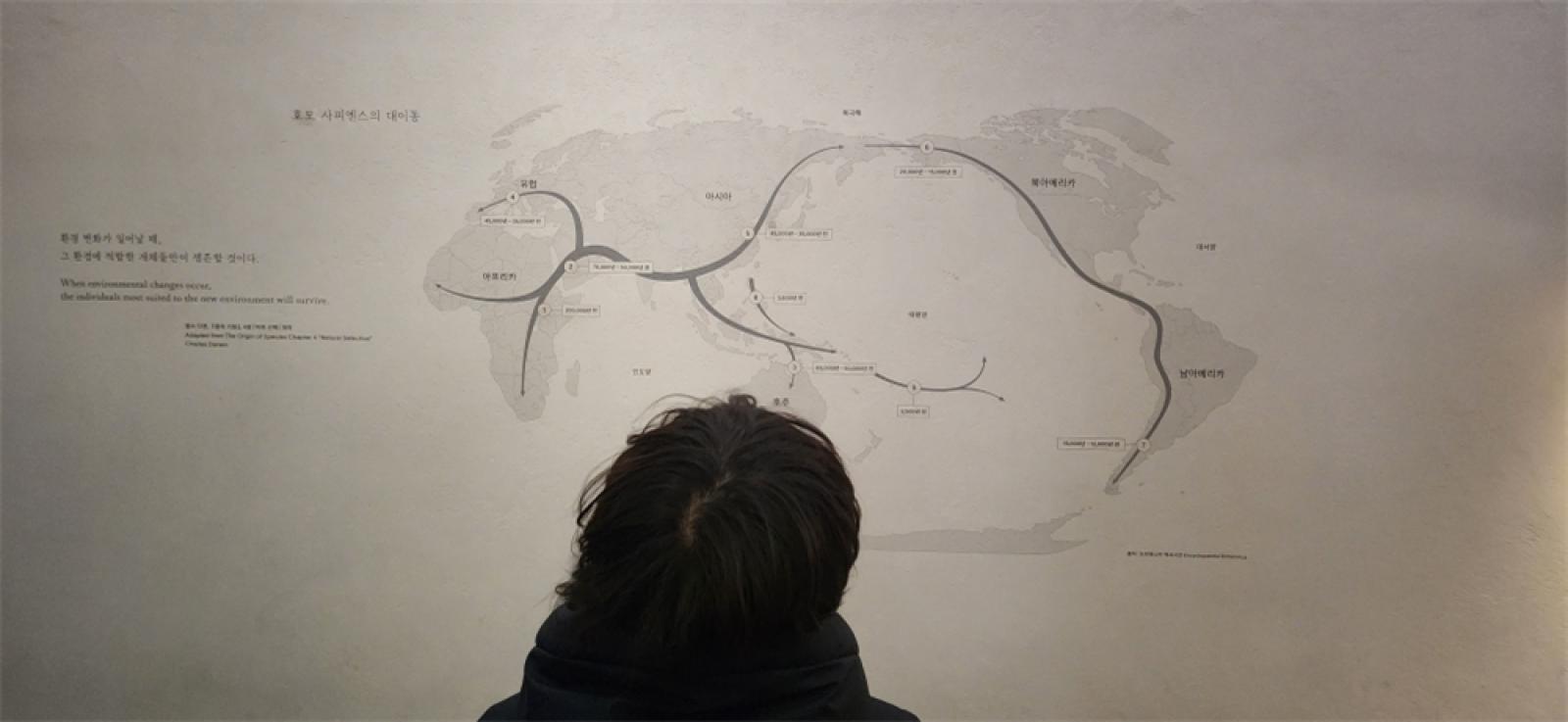 그림입니다.  원본 그림의 이름: IMG_2871.jpeg  원본 그림의 크기: 가로 4000pixel, 세로 1848pixel  사진 찍은 날짜: 2026년 01월 11일 오후 2:31  카메라 제조 업체 : samsung  카메라 모델 : SM-S901N  프로그램 이름 : S901NKSU3CWGI  F-스톱 : 2.2  노출 시간 : 1/30초  ISO 감도 : 640  색 대표 : sRGB  노출 모드 : 자동  35mm 초점 거리 : 13  프로그램 