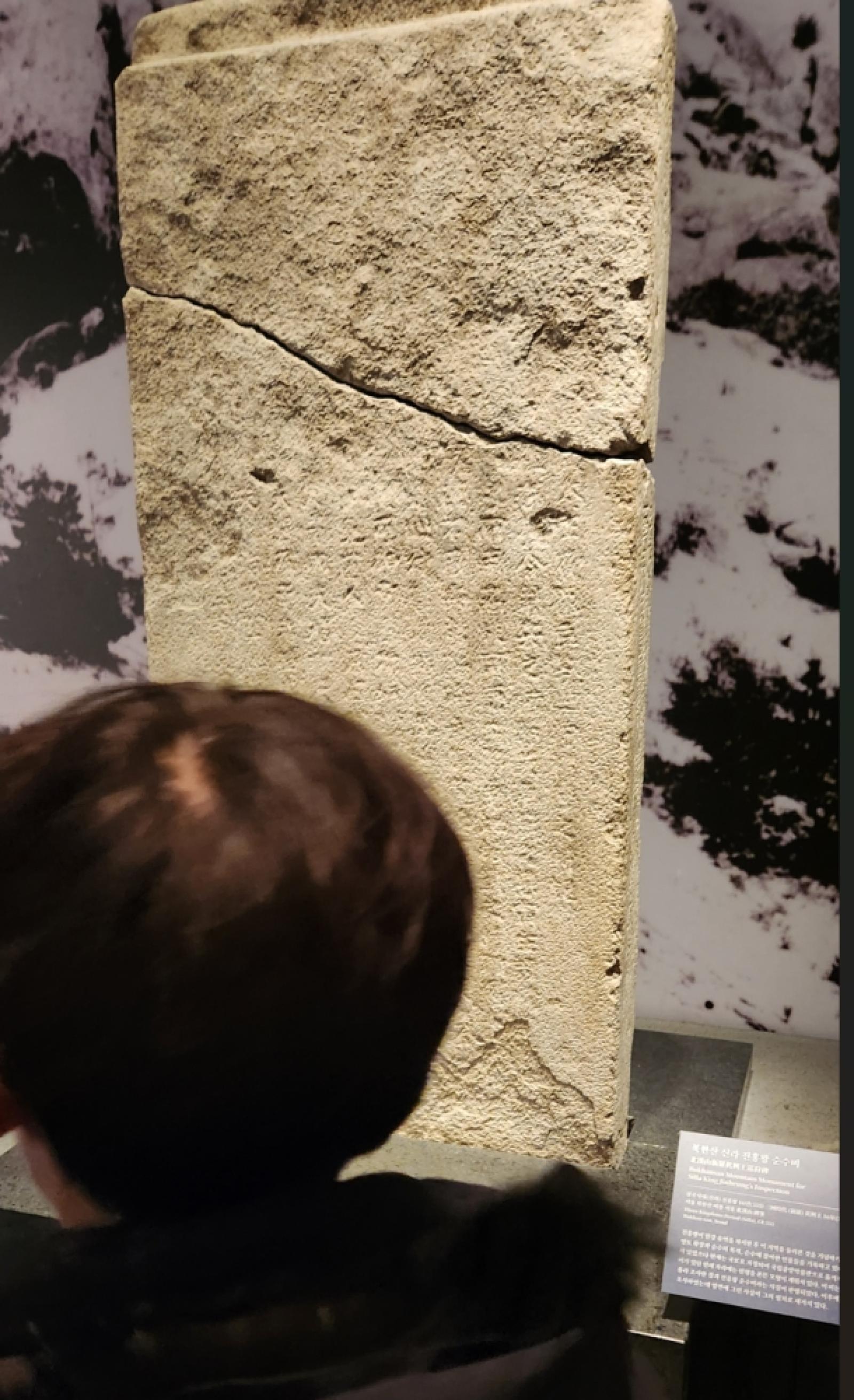 그림입니다.  원본 그림의 이름: CLP00009a000006.bmp  원본 그림의 크기: 가로 828pixel, 세로 1357pixel