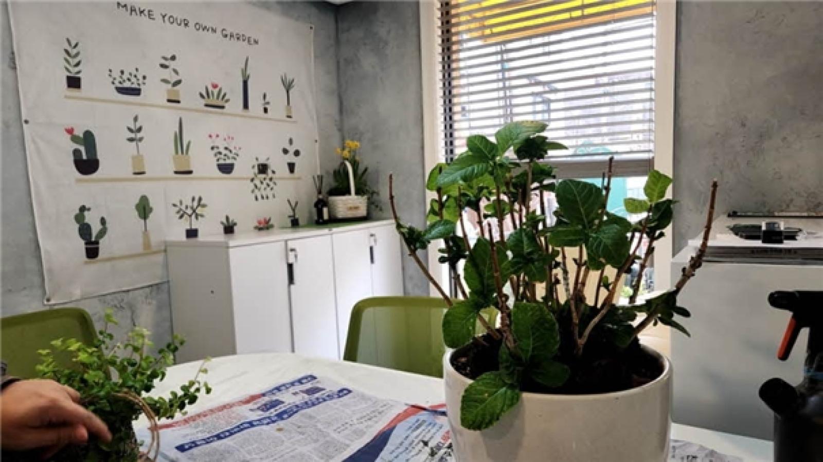 그림입니다.  원본 그림의 이름: IMG_3237.jpeg  원본 그림의 크기: 가로 945pixel, 세로 531pixel  사진 찍은 날짜: 2026년 03월 14일 오후 3:10  색 대표 : sRGB  EXIF 버전 : 0221