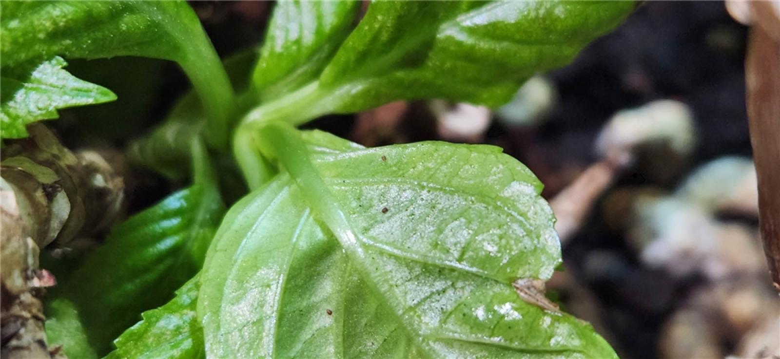 그림입니다.  원본 그림의 이름: IMG_3215.jpeg  원본 그림의 크기: 가로 1971pixel, 세로 910pixel  사진 찍은 날짜: 2026년 03월 12일 오후 9:06  카메라 제조 업체 : samsung  카메라 모델 : SM-S901N  프로그램 이름 : S901NKSU3CWGI  F-스톱 : 1.8  노출 시간 : 1/40초  ISO 감도 : 250  색 대표 : sRGB  노출 모드 : 자동  35mm 초점 거리 : 23  프로그램 노