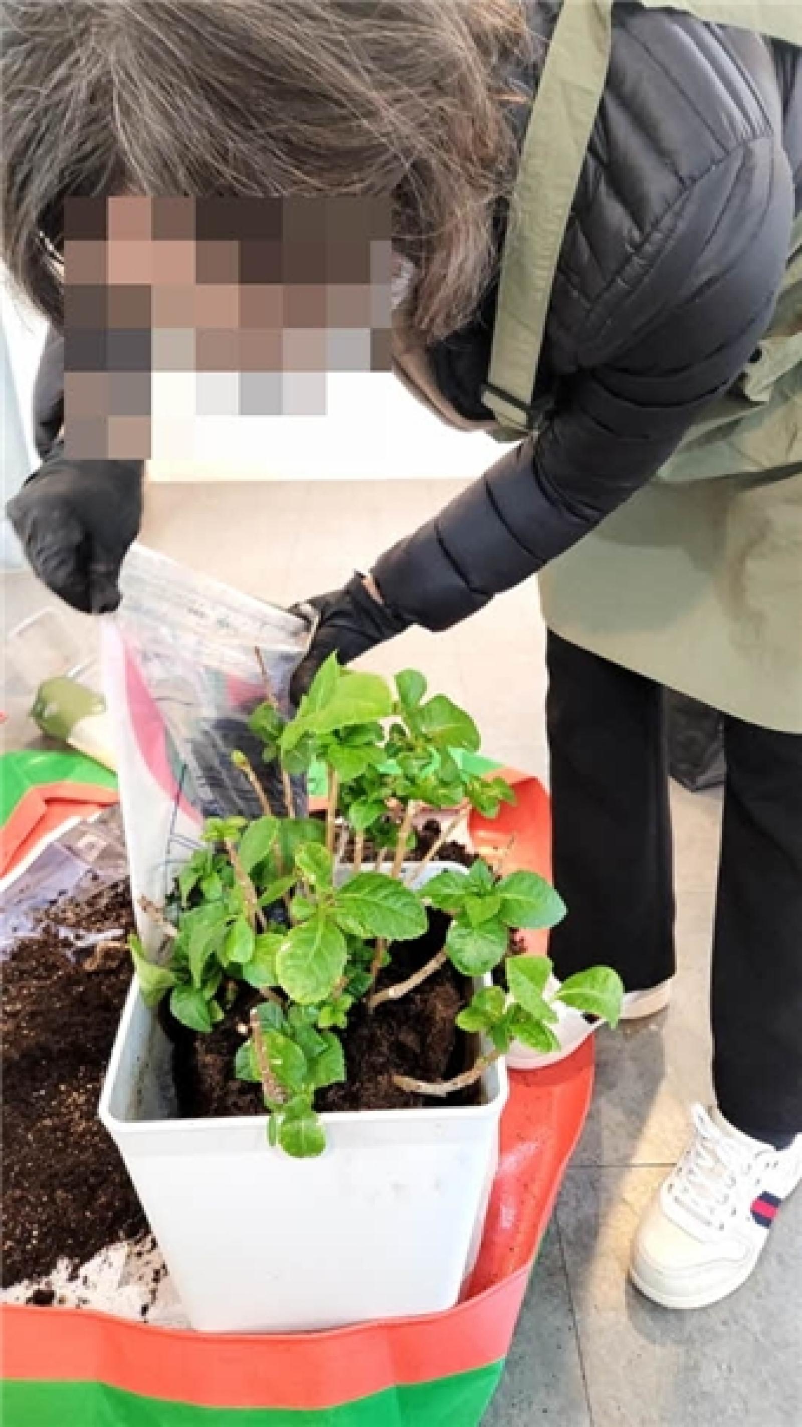 그림입니다.  원본 그림의 이름: IMG_3244.jpeg  원본 그림의 크기: 가로 531pixel, 세로 945pixel  사진 찍은 날짜: 2026년 03월 14일 오후 3:34  색 대표 : sRGB  EXIF 버전 : 0221