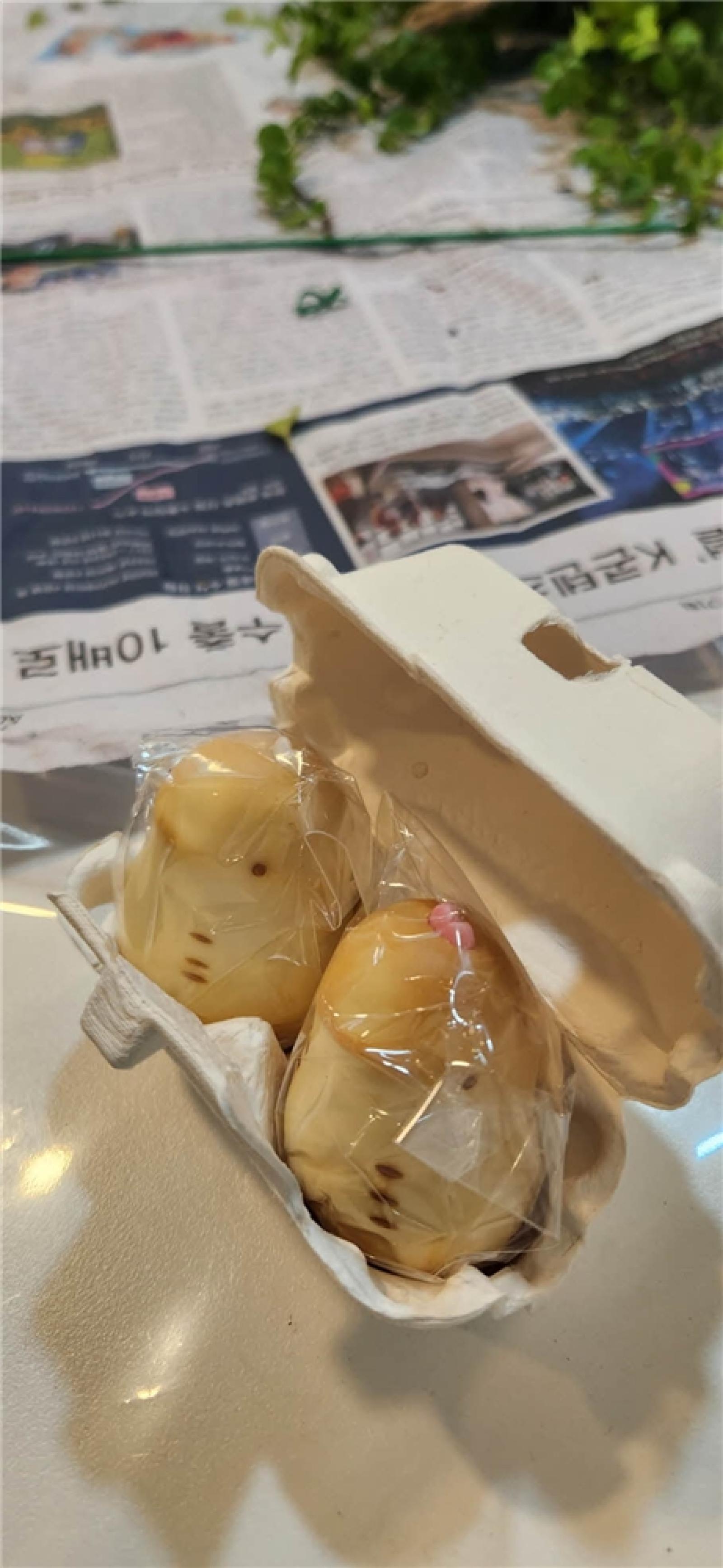 그림입니다.  원본 그림의 이름: IMG_3247.jpeg  원본 그림의 크기: 가로 910pixel, 세로 1971pixel  사진 찍은 날짜: 2026년 03월 14일 오후 3:39  카메라 제조 업체 : samsung  카메라 모델 : SM-S901N  프로그램 이름 : S901NKSU3CWGI  F-스톱 : 1.8  노출 시간 : 1/120초  ISO 감도 : 100  색 대표 : sRGB  노출 모드 : 자동  35mm 초점 거리 : 23  프로그램 