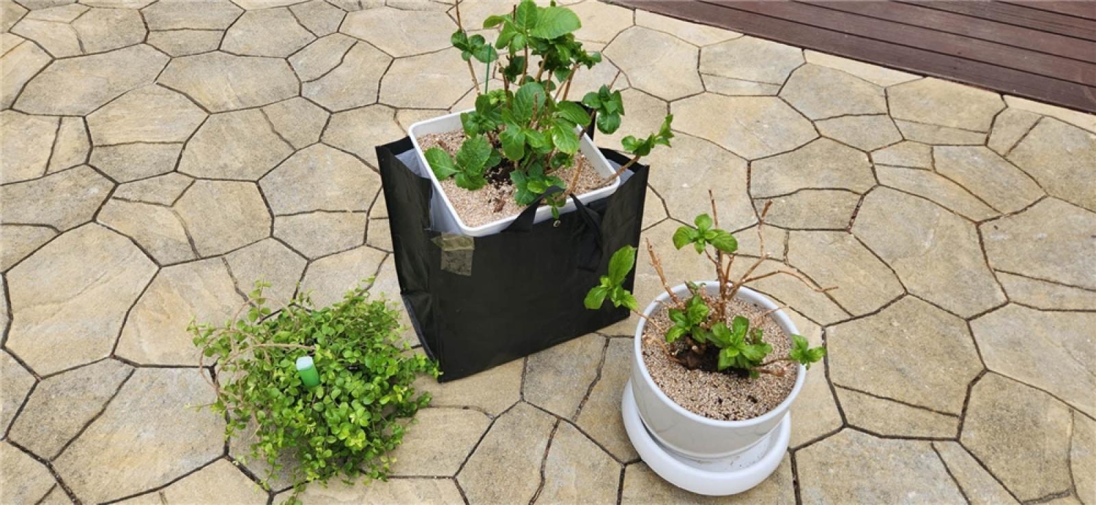 그림입니다.  원본 그림의 이름: IMG_3248.jpeg  원본 그림의 크기: 가로 1971pixel, 세로 910pixel  사진 찍은 날짜: 2026년 03월 14일 오후 3:46  카메라 제조 업체 : samsung  카메라 모델 : SM-S901N  프로그램 이름 : S901NKSU3CWGI  F-스톱 : 1.8  노출 시간 : 1/180초  ISO 감도 : 20  색 대표 : sRGB  노출 모드 : 자동  35mm 초점 거리 : 23  프로그램 노