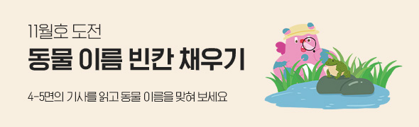 11월호 도전 / 동물 이름 빈칸 채우기 / 4~5면의 기사를 읽고 동물 이름을 맞혀 보세요