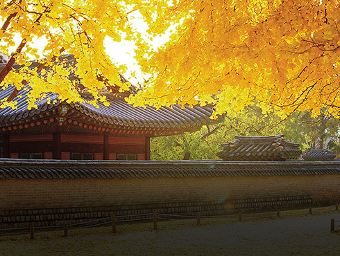 취미 부자들의 알록달록 가을 즐기기