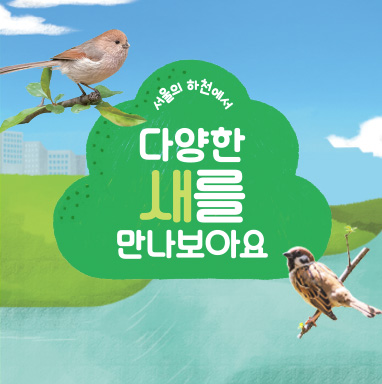 서울의 하천에서 다양한 새를 만나보아요