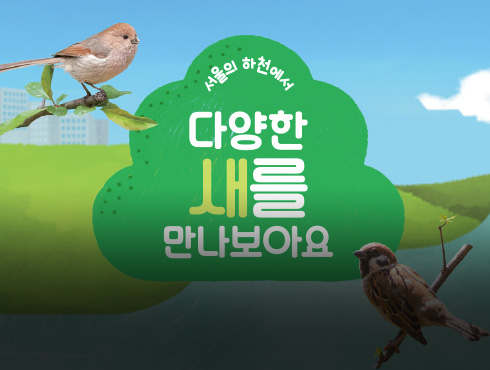 서울의 하천에서 다양한 새를 만나보아요