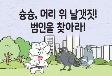 슝슝, 머리 위 날갯짓! 범인을 찾아라!