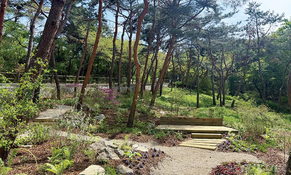 남산공원 ‘솔향길’