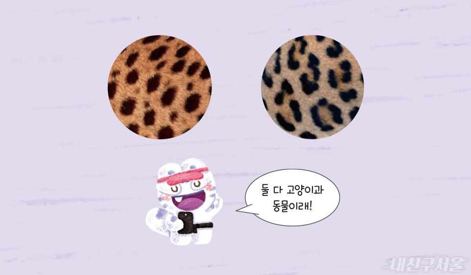 둘 다 고양이과 동물이래!