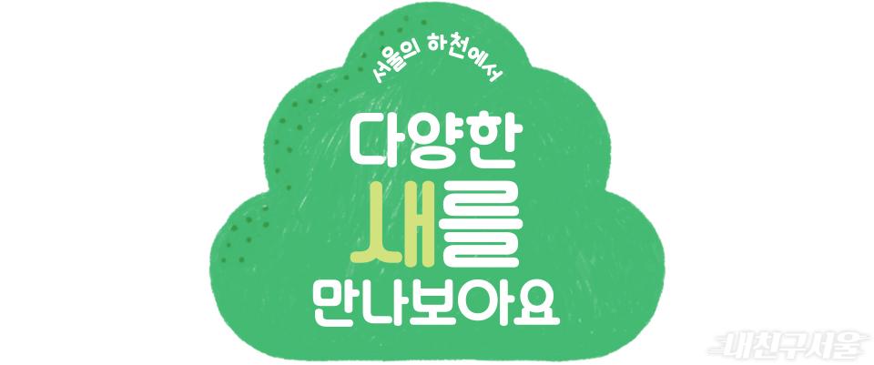 서울의 하천에서 다양한 새를 만나보아요