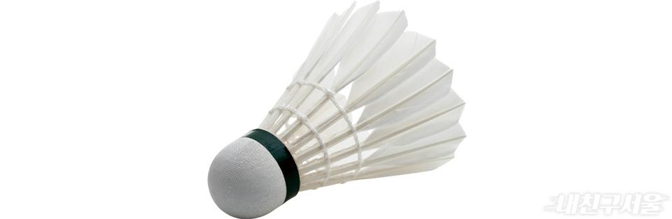 배드민턴 셔틀콕