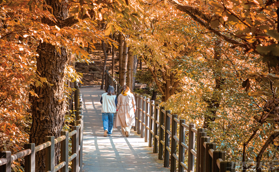 안산 산책길