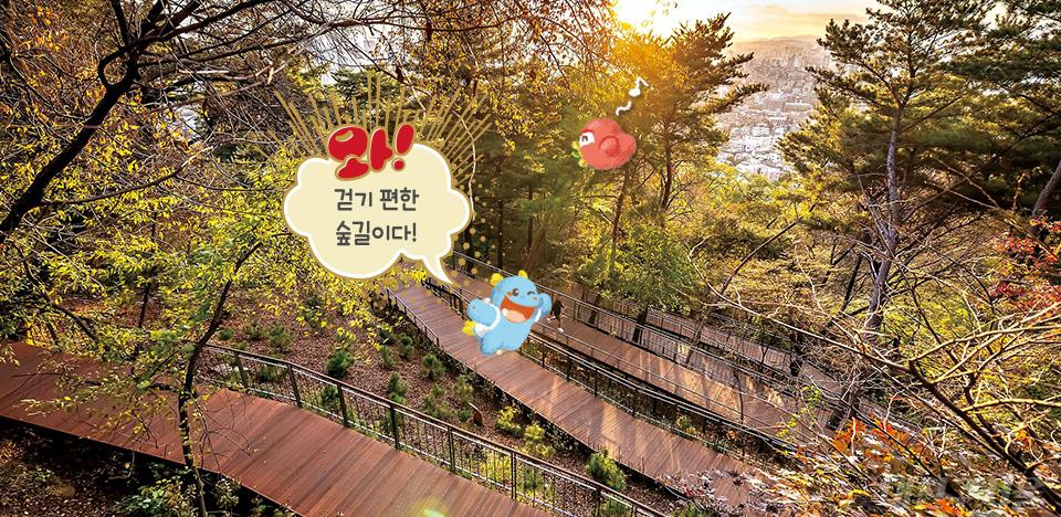 걷기편한 숲길이다