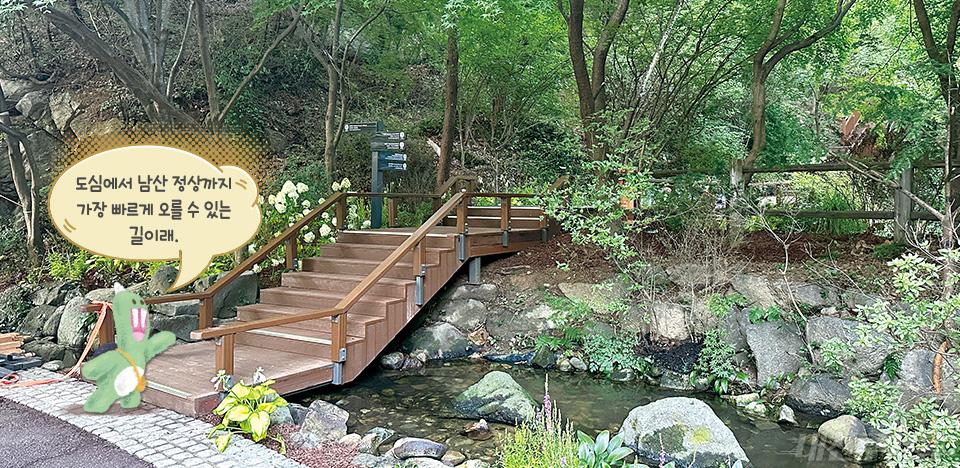 도심에서 남산 정상까지 가장 빠르게 오를 수 있는 길이래.