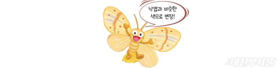 낙엽과 비슷한 색으로 변장!